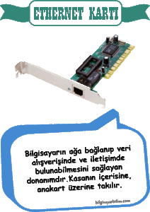 Ethernet Kartı 1 212x300