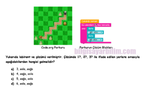 CodeOrg2 300x192